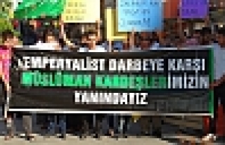 Mısır`daki katliam Kızıltepe`de lanetlendi