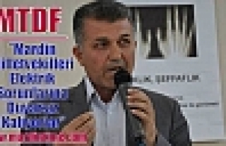 MTDF :”Mardin Milletvekilleri Elektrik Sorunlarına...