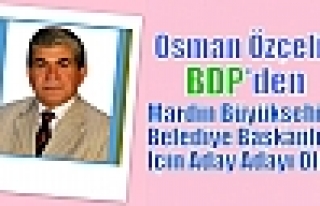 Osman Özçelik, BDP'den adaylık başvurusunda bulundu