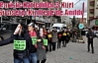 Pariste Katledilen 3 Kürt Siyasetçi Kızıltepe’de...