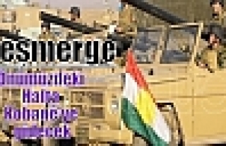 Peşmerge, önümüzdeki hafta Kobanê’ye gidecek