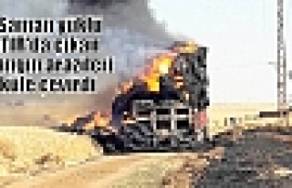 Saman yüklü TIR'da çıkan yangın arazileri küle...