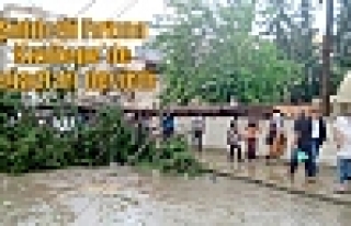 Şiddetli Fırtına Kızıltepe’de ağaçları devirdi