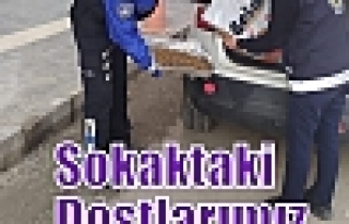 Sokaktaki Dostlarımız Unutulmadı