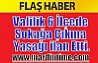 Valilik 6 İlçede Sokağa Çıkma Yasağı ilan Etti.