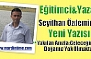 Yakılan Anızla;Geleceğimiz, Doğamız Yok Olmakta