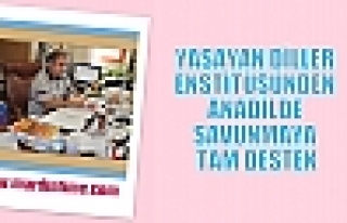 YAŞAYAN DİLLER ENSTİTÜSÜNDEN ANADİLDE SAVUNMAYA...