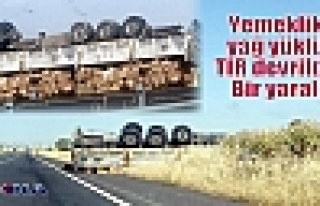 Yemeklik yağ yüklü TIR devrildi: Bir yaralı