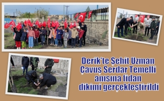 Derik'te Şehit Uzman Çavuş Serdar Temelli anısına fidan dikimi gerçekleştirildi