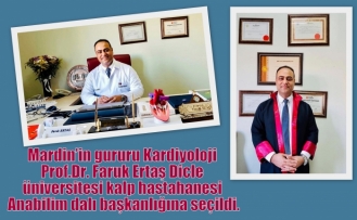 Mardin’in gururu Prof. Dr. Faruk Ertaş Anabilim dalı başkanı oldu