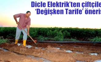 Dicle Elektrik’ten çiftçilere ‘Değişken Tarife’ önerisi