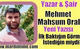 İlk Baktığın Görmek İstediğin miydi?