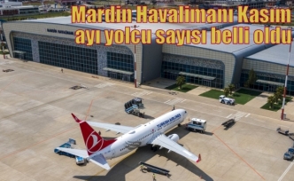 Mardin Havalimanı Kasım ayı yolcu sayısı belli oldu