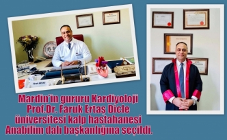 Mardin’in gururu Prof. Dr. Faruk Ertaş Anabilim dalı başkanı oldu