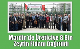 Mardin’de Üreticyei 8 Bin Zeytin Fidanı Dağıtıldı