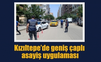 Kızıltepe’de geniş çaplı asayiş uygulaması