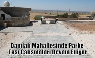 Damlalı Mahallesinde Parke Taşı Çalışmaları Devam Ediyor