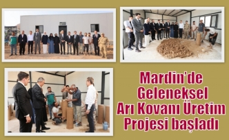 Mardin’de Geleneksel Arı Kovanı Üretim Projesi başladı