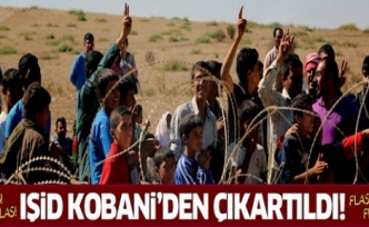 Flaş gelişme! Kobani IŞİD'den tamamen temizlendi!