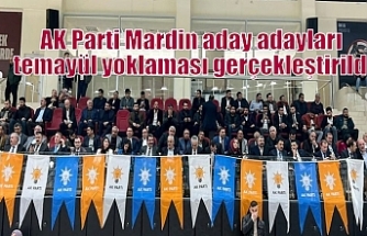 AK Parti Mardin aday adayları temayül yoklaması gerçekleştirildi