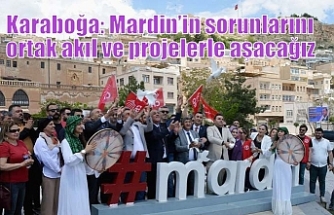 Karaboğa: Mardin’in sorunlarını ortak akıl ve projelerle aşacağız