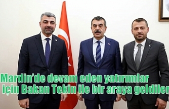 Mardin’de devam eden yatırımlar için Bakan Tekin ile bir araya geldiler