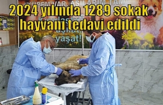 2024 yılında 1289 sokak hayvanı tedavi edildi