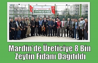 Mardin’de Üreticyei 8 Bin Zeytin Fidanı Dağıtıldı