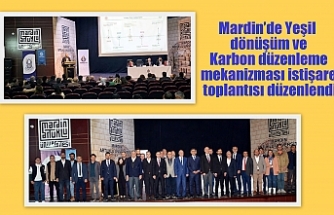 Mardin’de Yeşil dönüşüm ve Karbon düzenleme mekanizması istişare toplantısı düzenlendi