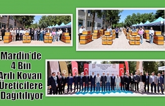 Mardin’de 4 Bin Arılı Kovan Üreticilere Dağıtılıyor