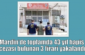Mardin’de toplamda 43 yıl hapis cezası bulunan 3 firari yakalandı