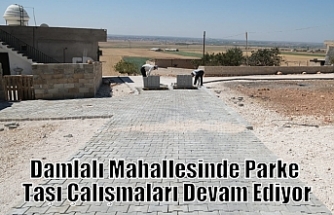 Damlalı Mahallesinde Parke Taşı Çalışmaları Devam Ediyor