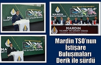 Mardin TSO’nun İstişare Buluşmaları Derik ile sürdü