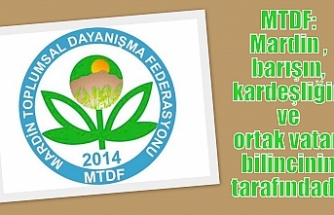MTDF: Mardin, barışın, kardeşliğin ve ortak vatan bilincinin tarafındadır
