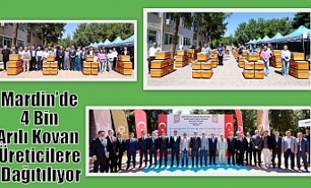 Mardin’de 4 Bin Arılı Kovan Üreticilere Dağıtılıyor