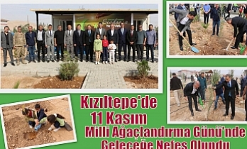 Kızıltepe'de 11 Kasım Milli Ağaçlandırma Günü'nde Geleceğe Nefes Olundu