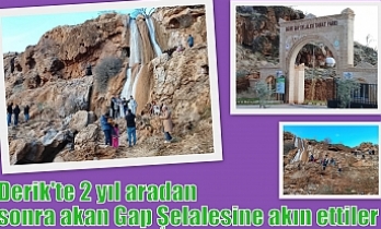 Derik'te 2 yıl aradan sonra akan Gap Şelalesine akın ettiler