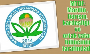 MTDF: Mardin, barışın, kardeşliğin ve ortak vatan bilincinin tarafındadır
