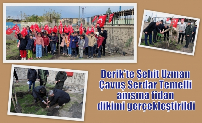 Derik'te Şehit Uzman Çavuş Serdar Temelli anısına fidan dikimi gerçekleştirildi