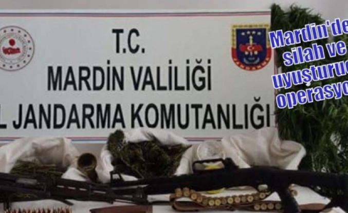 Mardin'de silah ve uyuşturucu operasyonu
