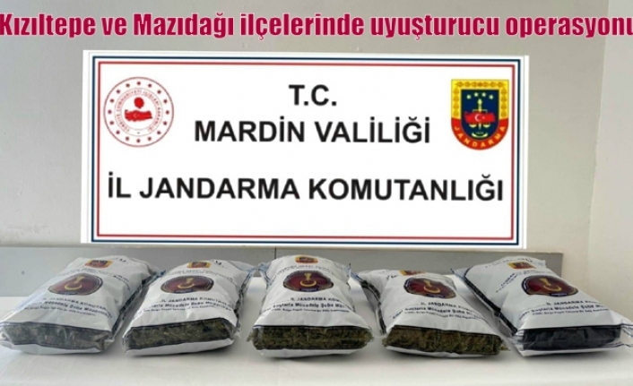 Kızıltepe ve Mazıdağı ilçelerinde uyuşturucu operasyonu