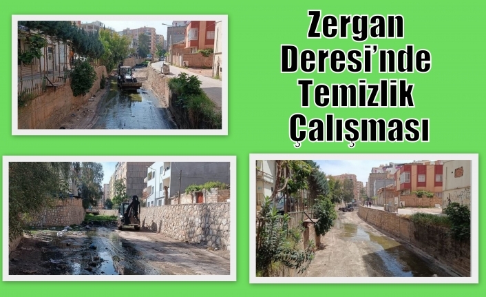 Zergan Deresi’nde Temizlik Çalışması