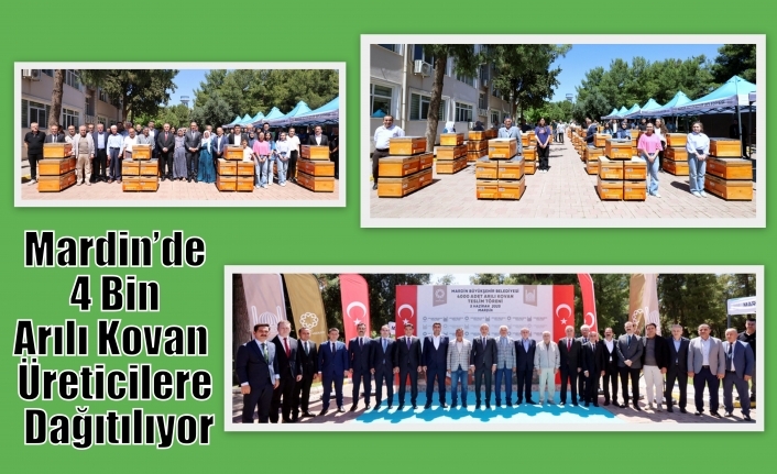 Mardin’de 4 Bin Arılı Kovan Üreticilere Dağıtılıyor