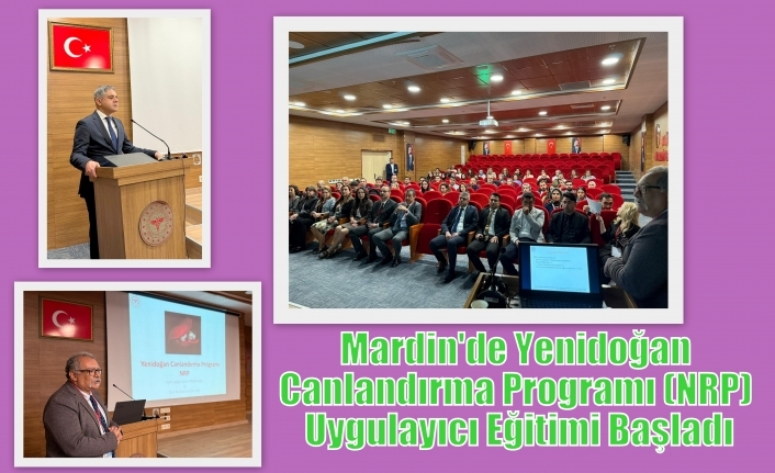 Mardin'de Yenidoğan Canlandırma Programı (NRP) Uygulayıcı Eğitimi Başladı