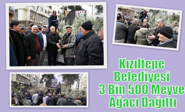Kızıltepe Belediyesi 3 Bin 500 Meyve Ağacı Dağıttı